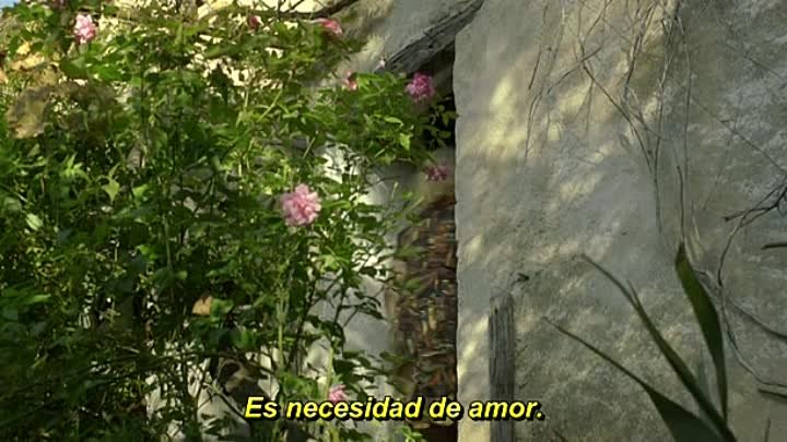 Violette.2013.DVDRip.sub.Gnula