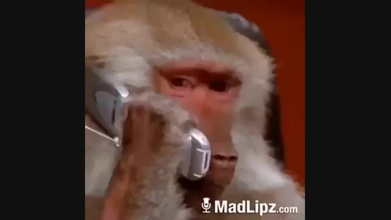 MadLipz.kz 😂😂.mp4