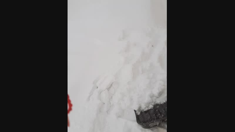 B612_20181214_151250_152.mp4