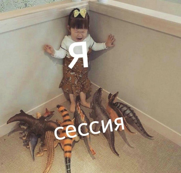 смешные картинки