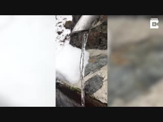 Новая оптическая иллюзия сводит с ума пользователей Сети