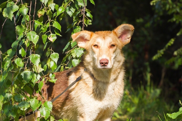 Москва, МО и Все Все Все