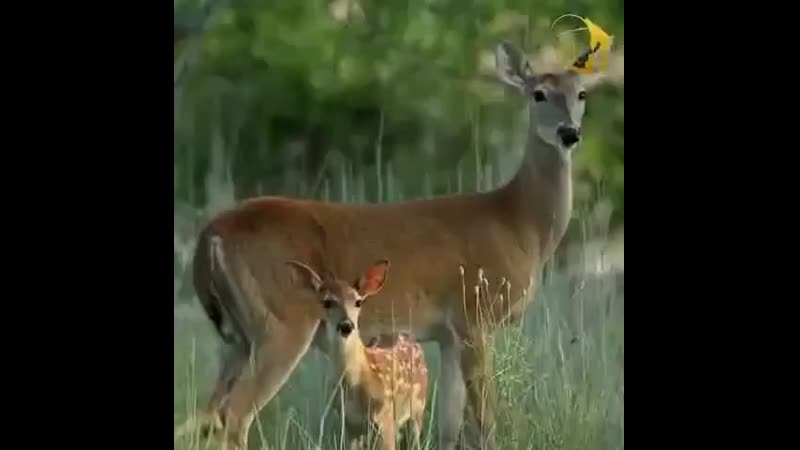 VID_104991123_022430_878.mp4