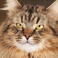 Елена Скуратова | Москва