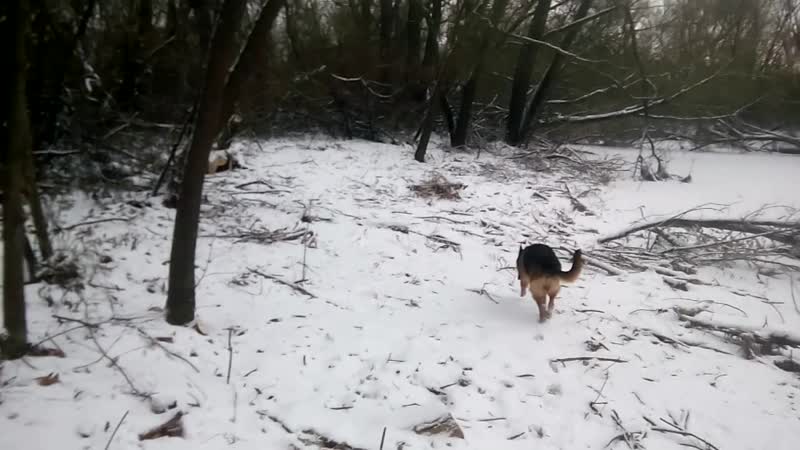 На реке, Зима 2018