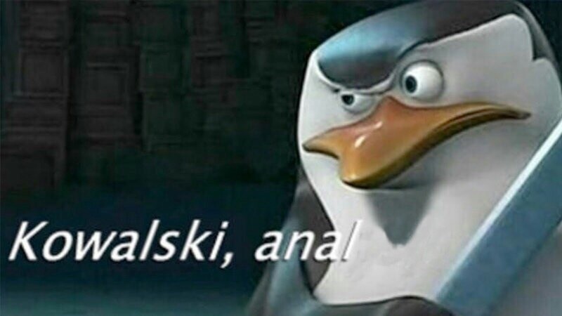 Pt4JfQN5qeo.jpg