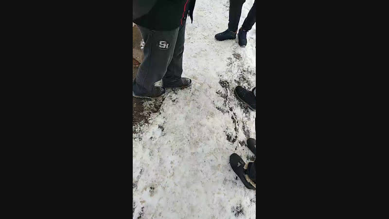 Теперь уже 6 дибилов гуляют