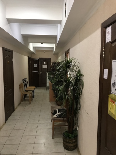 Продается коммерческое помещение, расположенное по адресу: Республика Крым, г. Симферополь, ул. Баррикадная, 70. Имеется 9 комнат общей площадью 200 м. кв. Объект оснащен коммуникациями:<br>- автономное отопление;<br>- кондиционирование каждой комнаты;<br>- сигнализация;<br>- видеонаблюдение;<br>- 2 санузла.<br>Выполнен современный ремонт в светлых оттенках. Возле предлагаемого помещения имеется парковка и развитая инфраструктура.<br>На данный момент помещение арендуется (110 000 руб/мес)<br>это идеальный вариант для вашего бизнеса или просто для сдачи в аренду.<br>Собственник! Реальному покупателю - ТОРГ!!!<br>всю информацию узнавайте по телефону, ответим с удовольствием<br>к./тел.:+79782554434 Александр - фото Фото: Продается коммерческое помещение, расположенное по адресу: Республика Крым, г. Симферополь, ул. Баррикадная, 70. Имеется 9 комнат общей площадью 200 м. кв. Объект оснащен коммуникациями:<br>- автономное отопление;<br>- кондиционирование каждой комнаты;<br>- сигнализация;<br>- видеонаблюдение;<br>- 2 санузла.<br>Выполнен современный ремонт в светлых оттенках. Возле предлагаемого помещения имеется парковка и развитая инфраструктура.<br>На данный момент помещение арендуется (110 000 руб/мес)<br>это идеальный вариант для вашего бизнеса или просто для сдачи в аренду.<br>Собственник! Реальному покупателю - ТОРГ!!!<br>всю информацию узнавайте по телефону, ответим с удовольствием<br>к./тел.:+79782554434 Александр