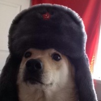 Никита Малыгин