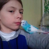 Кристина Федосеева | 