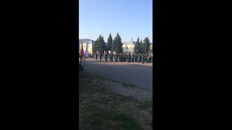 сосновка