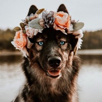 Татьяна Кошкина