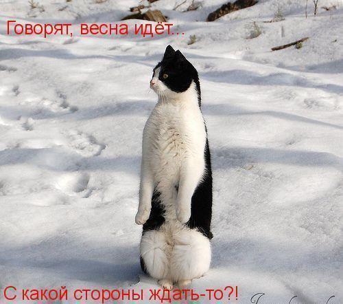 https://pp.userapi.com/c852028/v852028878/cdd76/aknyjpTquF4.jpg
