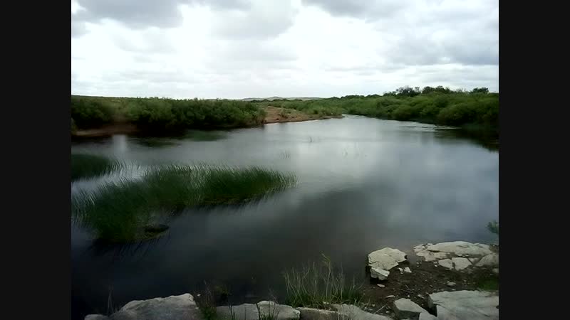 VID_20170611_115617.3gp