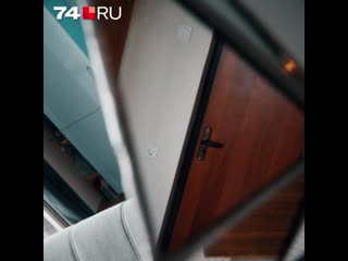 Челябинец превращает зеркала в головы животных