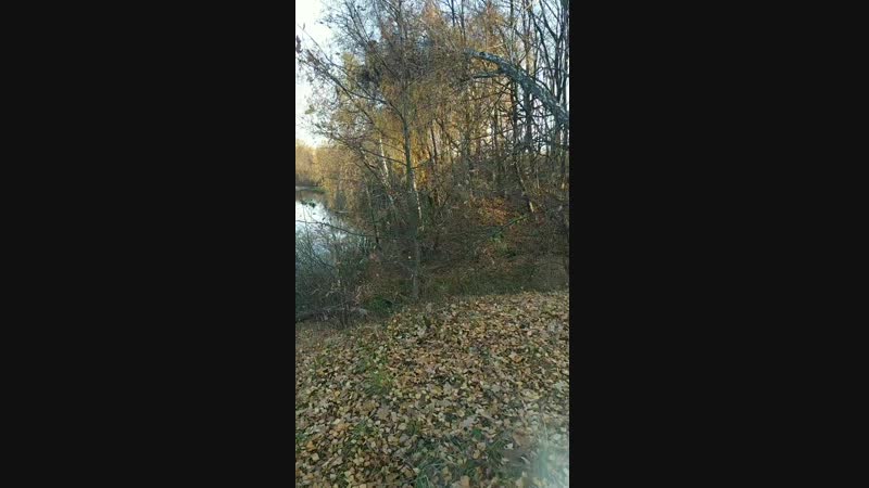 VID_20181022_160545.mp4