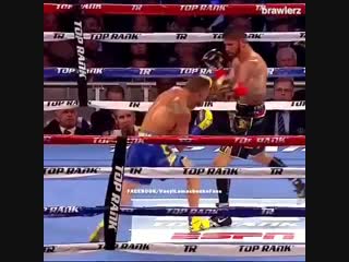 Когда Василий Ломаченко находится на другом уровне в боксе. 🥊