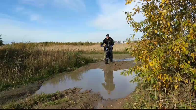 Знатный говномес в шушарах