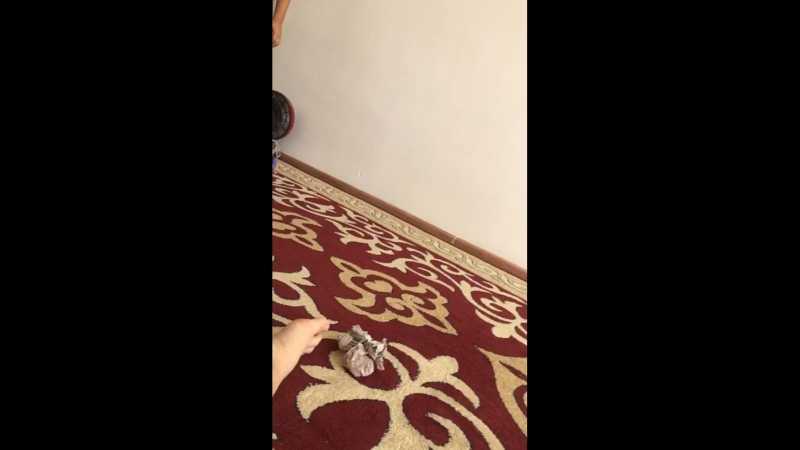 Баек