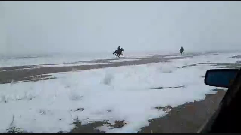 Кенен ауылы Тай.mp4
