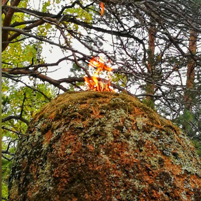 Афиша Красноярск Свет тропы Красноярска