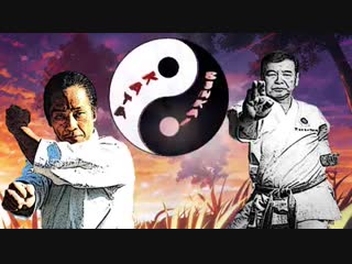 Ката без Bunkai не имеет смысла. Sensei T.Asai Sensei M.Ueki - kata Gankaku