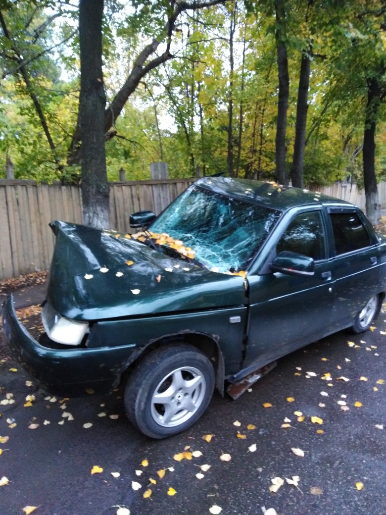 Водитель ВАЗа врезался в дерево в Заволжье