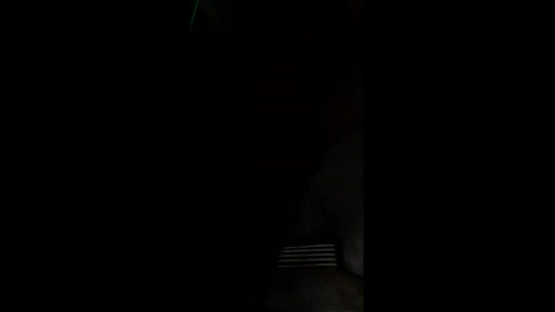 жана жыл 18