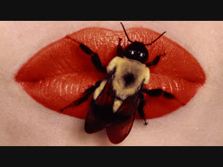 Vogue: Глазами редактора / Vogue: The Editor's Eye (2012, США) Фентон Бэйли, Рэнди Барбато (док. фильм) 720