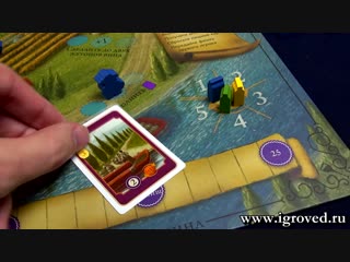 Виноделие. Обзор настольной игры от Игроведа