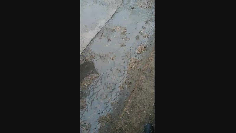 V_20181209_103854.mp4