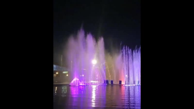 VID_397881217_051734_871.mp4