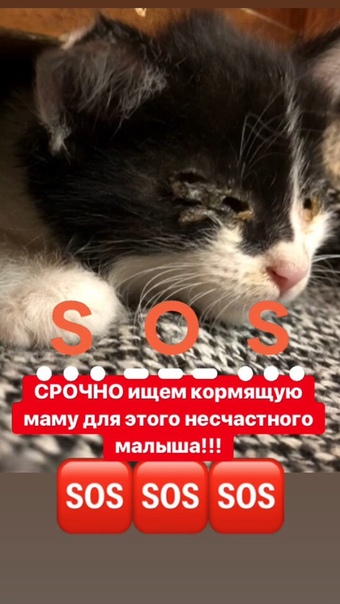 г.Пенза
Срочно ищем кормящую маму для этого несчастного мал