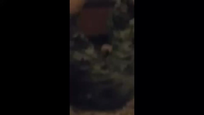 Я как паровозик Томас