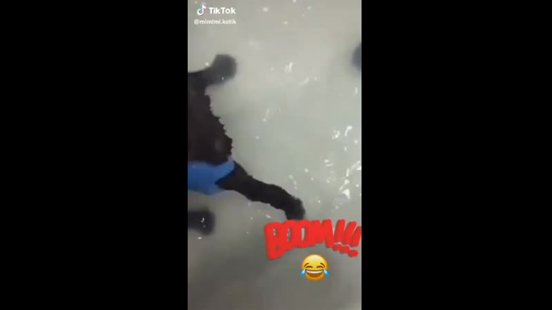 2_5328119415605035791.mp4