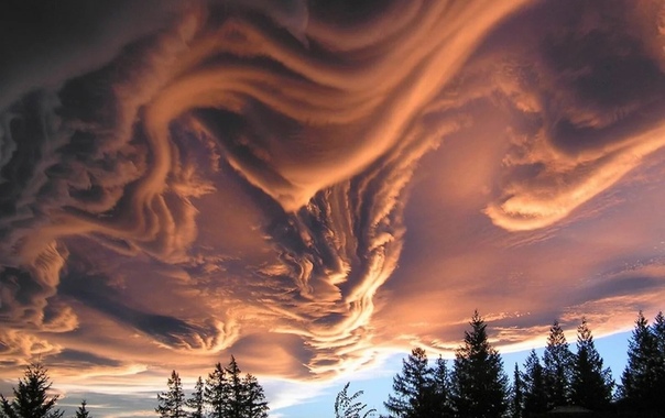 Асператус самые страшные облака Облака Undulatus asperatus (в переводе с лат. волнисто-бугристые) достаточно редкий вид облачных образований. Этот вид облаков, на настоящее время являющийся