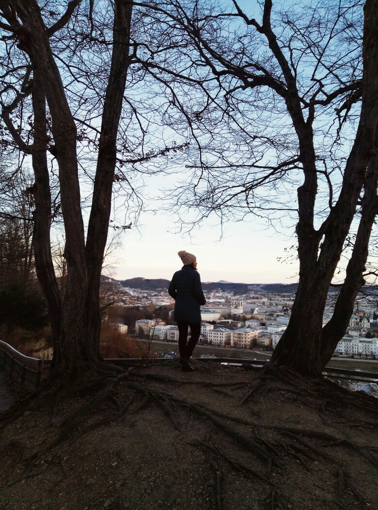 Рождественско-новогодний трип Германия-Австрия-Венгрия Рождественско-новогодний трип Германия-Австрия-Венгрия