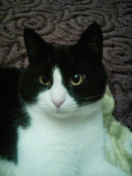 Наши январские счастливчики!!!