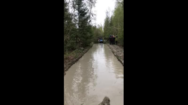 Ступинские леса 2019