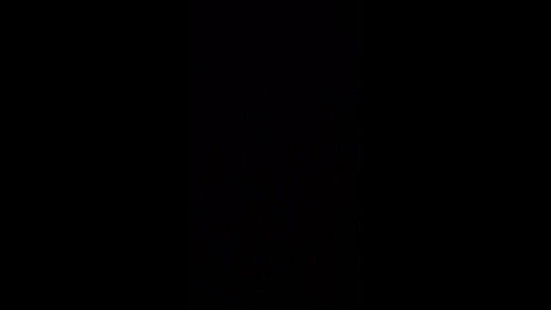 20190816_033956_001.mp4