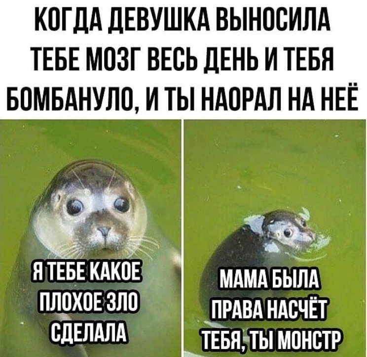 22e9O77U40Q.jpg