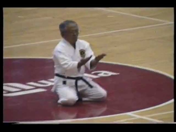 SENSEI IHA kata TENSHO (seiza)