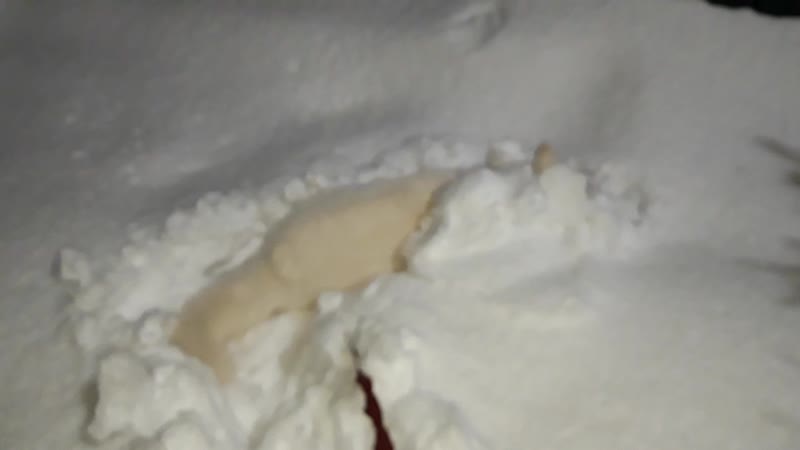 Снежные гусеницы❄🐛🤣