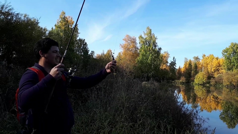риба