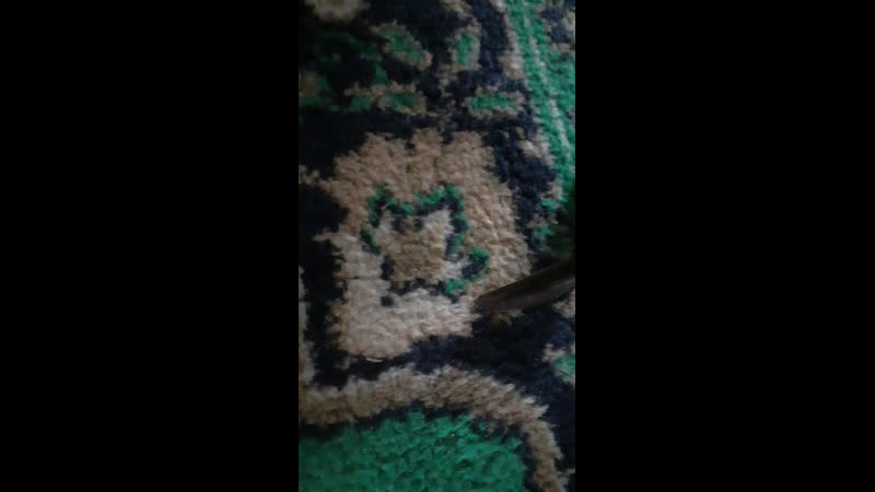 Медреседе кәзір дәріс