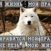 Волк Одинокий