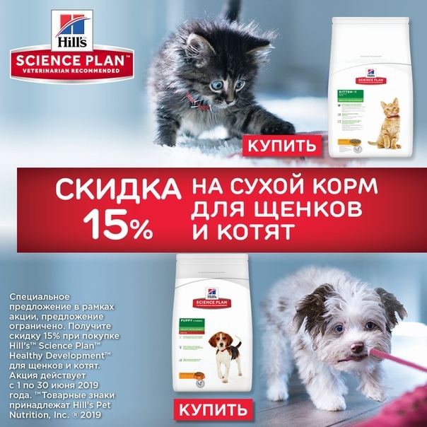 Котофей Зоомагазин Красноярск Интернет Магазин