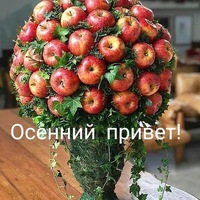 Елена Евдокимова