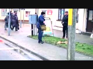 Вот ещё видео, на котором видно, как люди останавливаются возле убитой собаки, которую убили прямо в городе