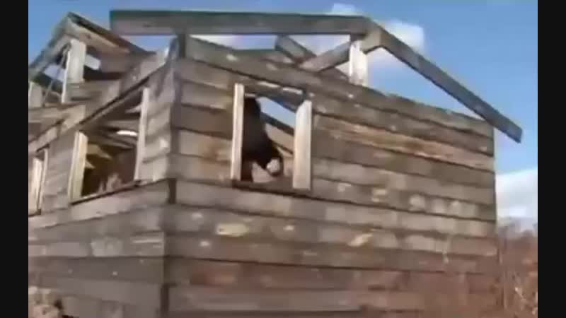 воины укропы